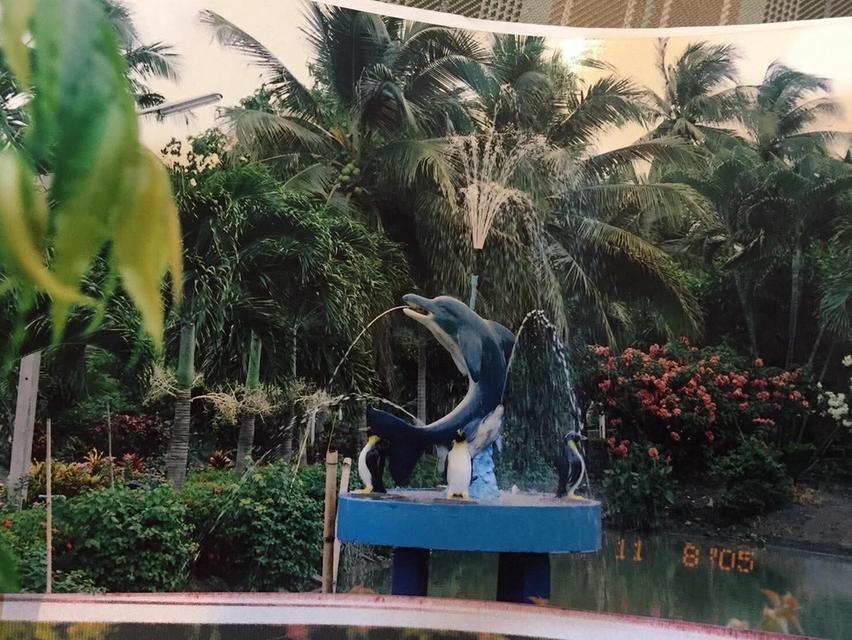 ที่ดินสวน น้ำรอบ สามพราน นครปฐม 7