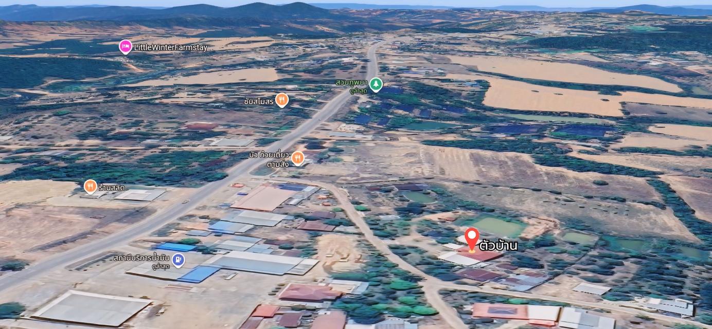 🔥 หลุดจอง! ที่ดิน 6 ไร่ + บ้าน + สวนทุเรียนให้ผลแล้ว (จ.เพชรบูรณ์) 13