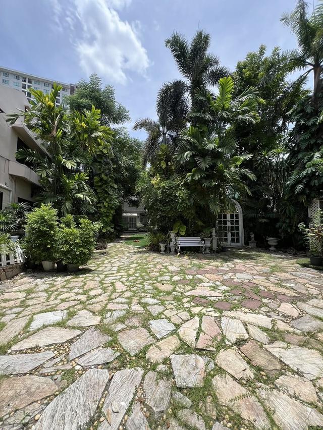 U1477 ให้เช่าบ้านสวน ใจกลางสุขุมวิท 101 FOR RENT RARE GARDEN SPACE IN SUKHUMVIT An Extraordinary Glasshouse Garden Space in Sukhumvit 101 4