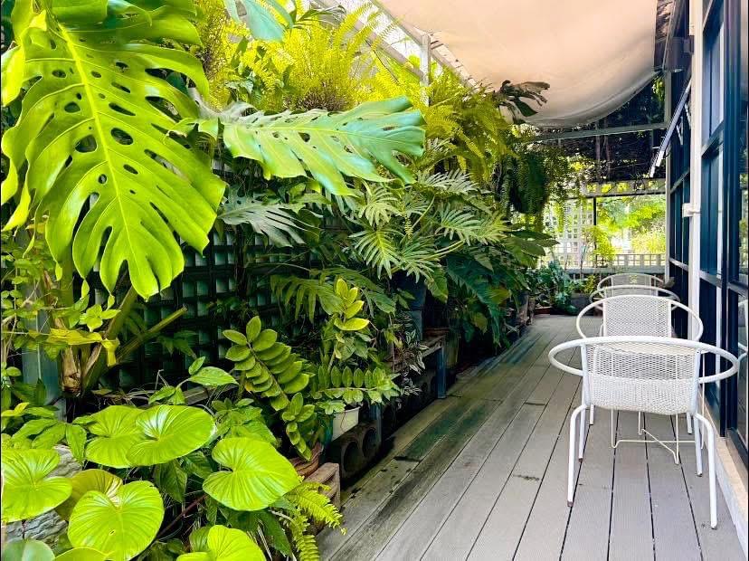 ขายร้านกาแฟพร้อมที่ดินติดถนน 7