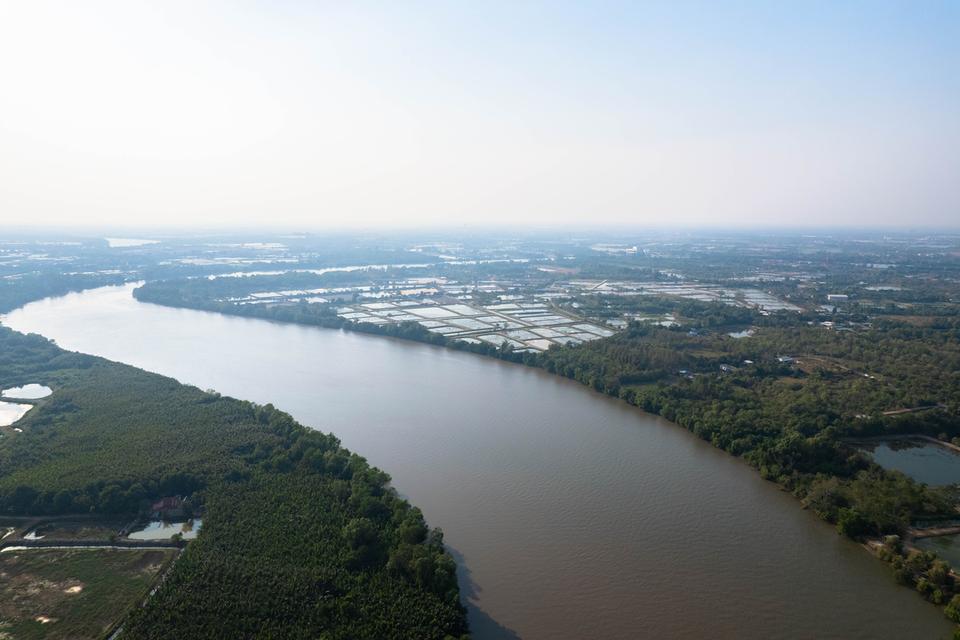 ขายที่ดินถมแล้ว ติดแม่น้ำบางปะกง เนื้อที่ 18 ไร่ 2 งาน 39 ตารางวา ตั้งอยู่ที่ ต.บางกรูด อ.บ้านโพธิ์ จ.ฉะเชิงเทรา 2