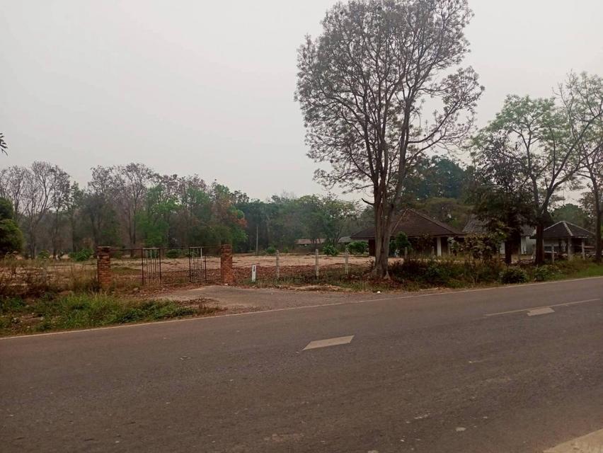 ขายที่ดิน 40 ไร่ 0 งาน 67.5 ตร.ว. ติดถนนหมายเลข 1186 ใกล้กรมทหารพรานที่ 31 พะเยา 3