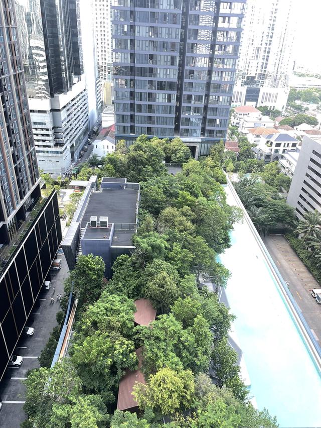 คอนโด 5