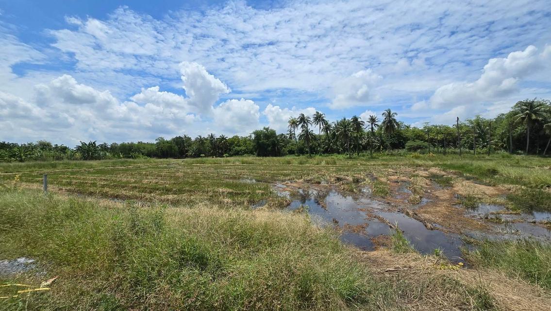 ขายด่วนที่ดิน 600 ตรว ติดถนนสาธารณะ ต.มหาสวัสดิ์ อ.พุทธมณฑล จ.นครปฐม 3