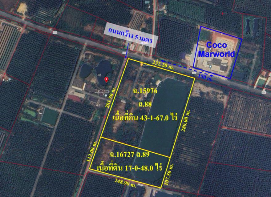 รูป ขาย ที่ดิน เปล่า แพงพวย อำเภอดำเนินสะดวก ราชบุรี  60 ไร่ ID-13815