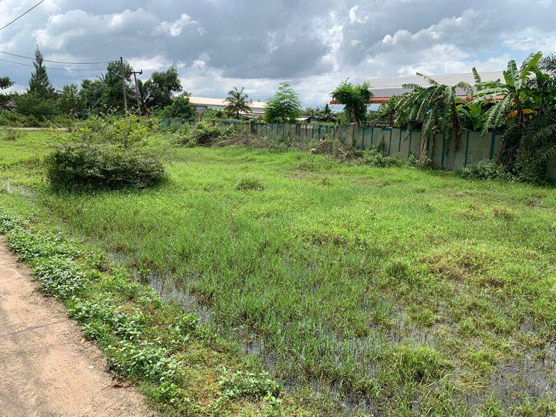 ขายที่ดินเปล่า ทำเลดี อำเภอกาญจนดิษฐ์ จังหวัดสุราษฎร์ธานี 6