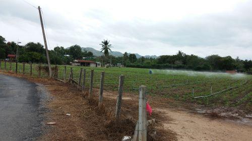 ขายที่ดิน 3 ไร่ 2 งาน จ.กาญจนบุรี ทำเลสวยใกล้รีสอร์ท แหล่งท่องเที่ยว 1