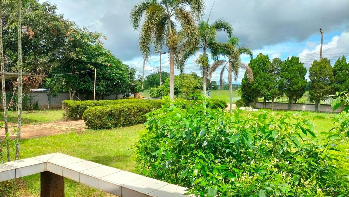 ขายบ้านพร้อมที่ดินสวยๆ ทำเลดี ใกล้จุดสำคัญหลายๆที่ 11