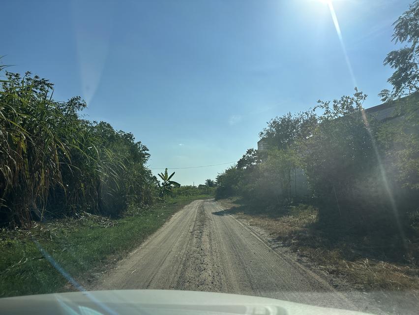 ขายที่ดินเปล่า รูปแปลงสวย เนื้อที่ 1-0-32 ไร่ ถ.ดอนนุ่น 3 ต.บึง อ.ศรีราชา จ.ชลบุรี 9