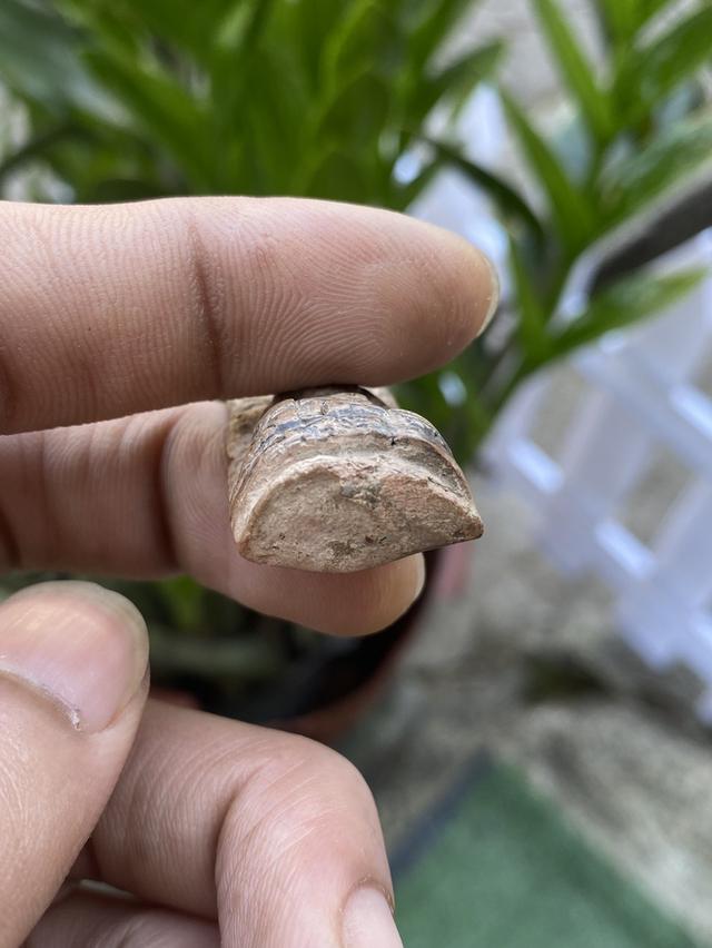 พระลือหน้ายักษ์ จังหวัดลำพูน รูปที่ 7