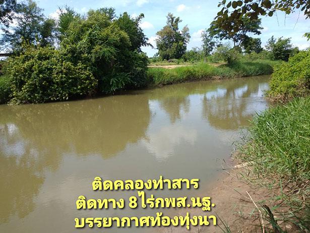 ที่ดินริมน้ำ ติดคลองท่าสารสายหลัก ได้ที่ฟรีอีกจำนวนหนึ่ง ที่สูงน้ำไม่ท่วม  8ไร่ 5