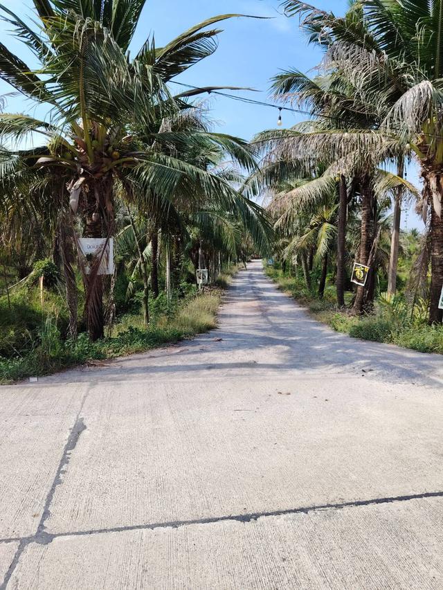 ที่ดิน 19