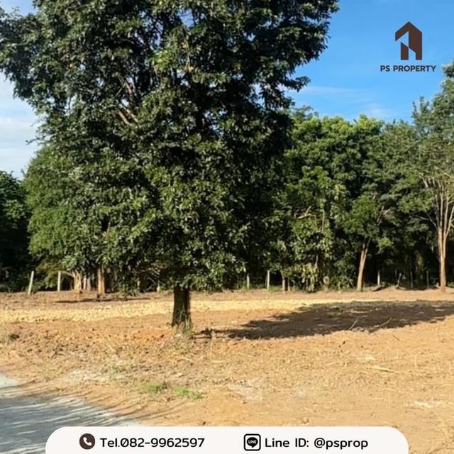 ขายที่ดินทำเลสวย 2 แปลง ต.บางพระ อ.ศรีราชา จ.ชลบุรี อยู่ติดกับร้านอาหารสวนเขาพุ