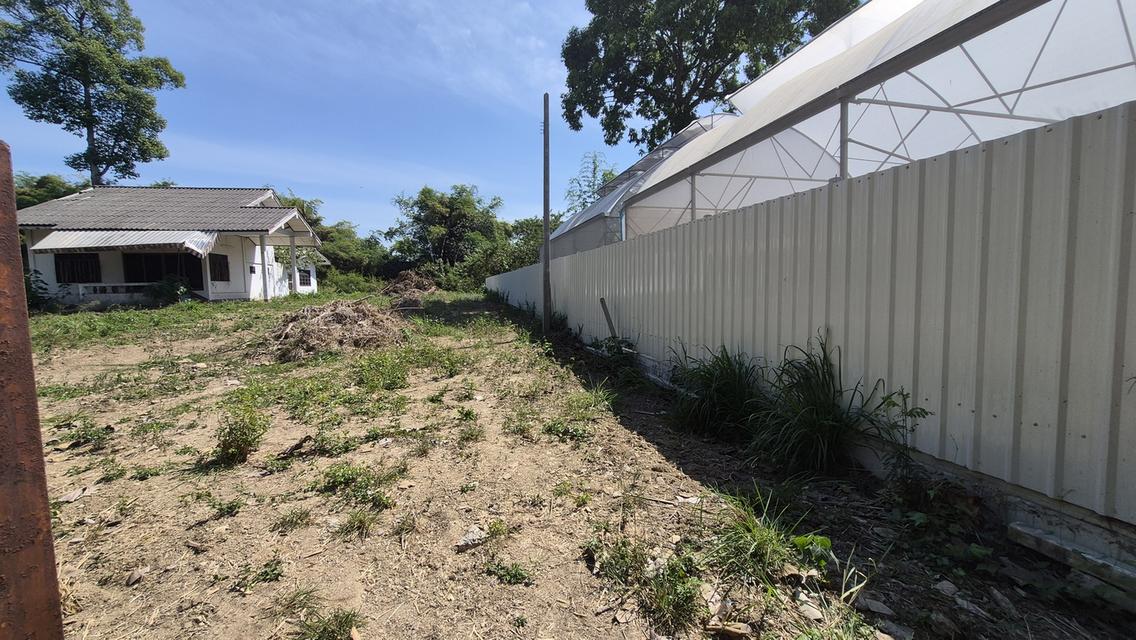 บ้านพร้อมที่ดิน ติดลำตะคลอง ในตัว อ.ปากช่อง 7