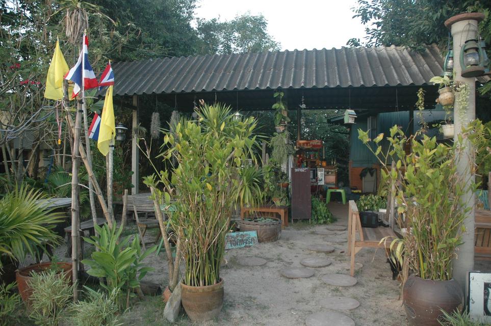 ขายที่ดินพร้อมสิ่งปลูกสร้าง 2