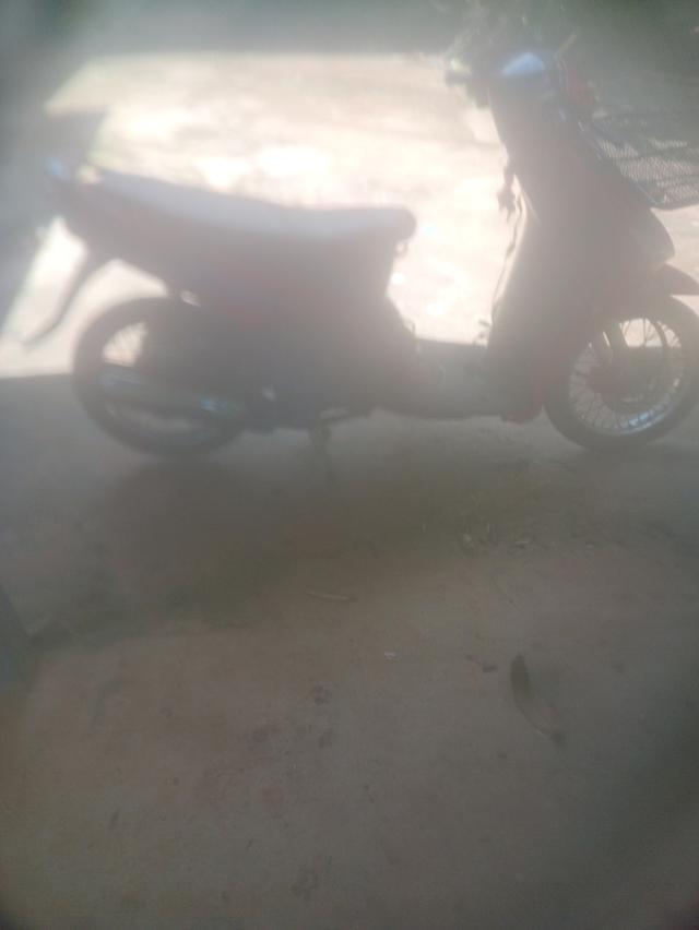 มีโอ115 3