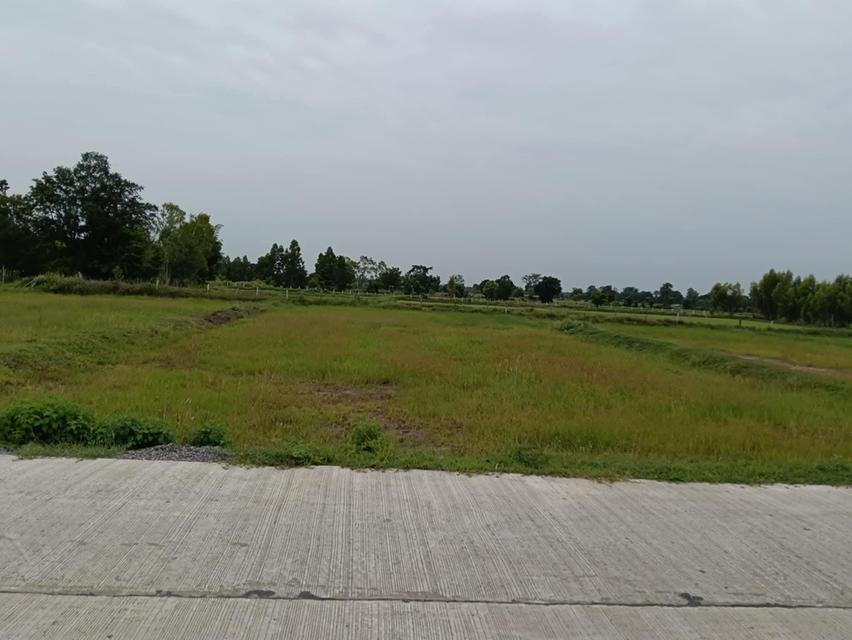 ที่ดิน3ตรว.ใกล้ถนนมิตรภาพ500เมตร 8