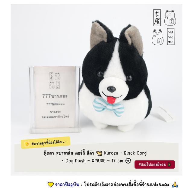 ตุ๊กตา หมาขาสั้น คอร์กี้ สีดำ 🐕 Kurozu・Black Corgi・Dog Plush ~ AMUSE ~ Standard 17 cm ⚽️