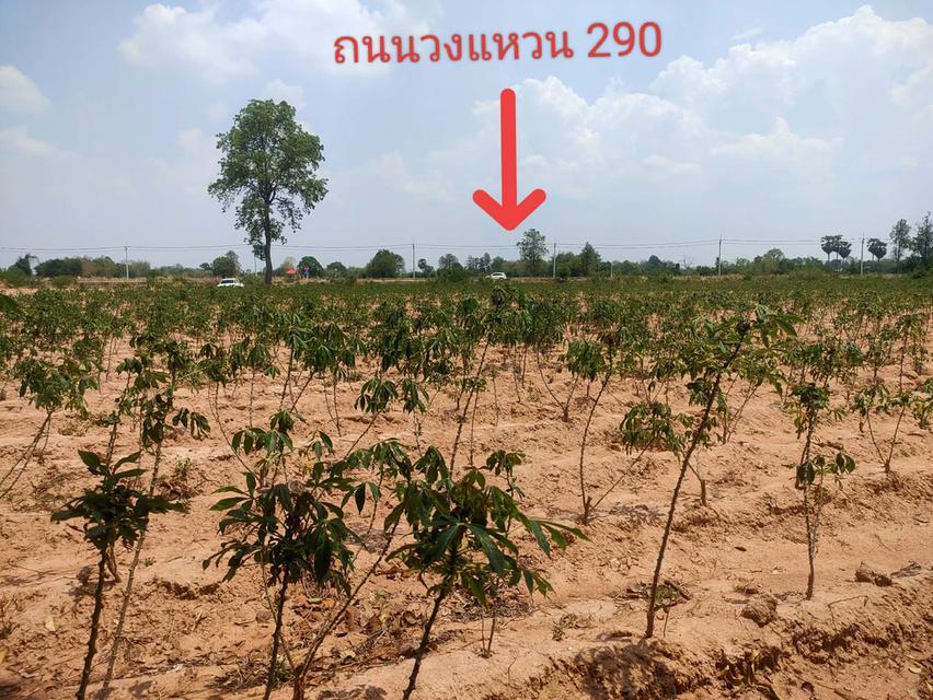 ขายที่ดินทางออกมอเตอร์เวย์ M6 2