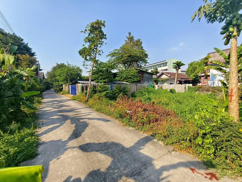 ขายถูกที่ดินใกล้วัดบัว 50 ตรว ซอยสำเร็จพัฒนา 17 ปลายบาง บางกรวย นนทบุรี 4