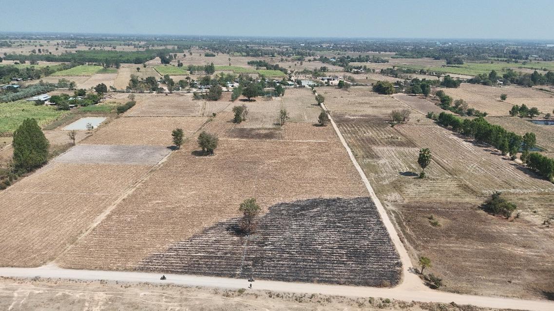 ขายทีดิน วิวสวยติดถนน3ด้าน 23ไร่ ต.สระกระโจม อ.ดอนเจดีย์ จ.สุพรรณบุรี 3