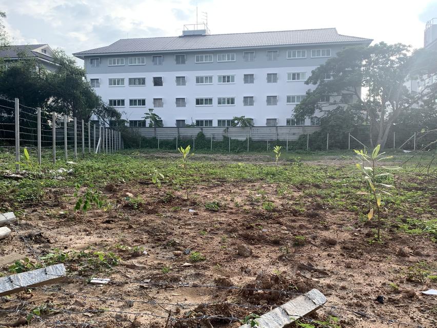 ให้เช่าที่ดินเชียงใหม่ 15,000 ต่อเดือน หางดง เชียงใหม่ 1 ไร่ 47ตรว 5