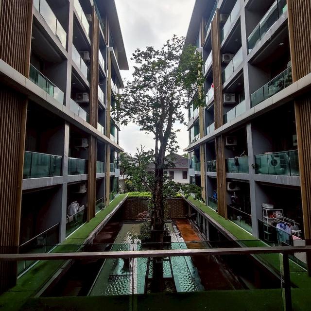 ขายคอนโดหรูเชียงใหม่ ทำเลทองย่านสุเทพ วิวภูเขา 2