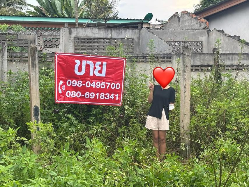 ที่ดิน อ.บ้านนาสาร จ.สุราษฎร์ธานี 1