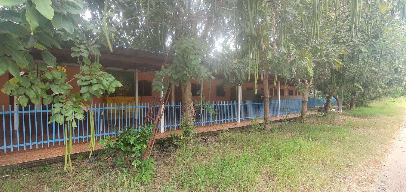 บ้านพร้อมที่ดินทำเลทอง ใกล้เซ็นทรัลพิษณุโลก 10