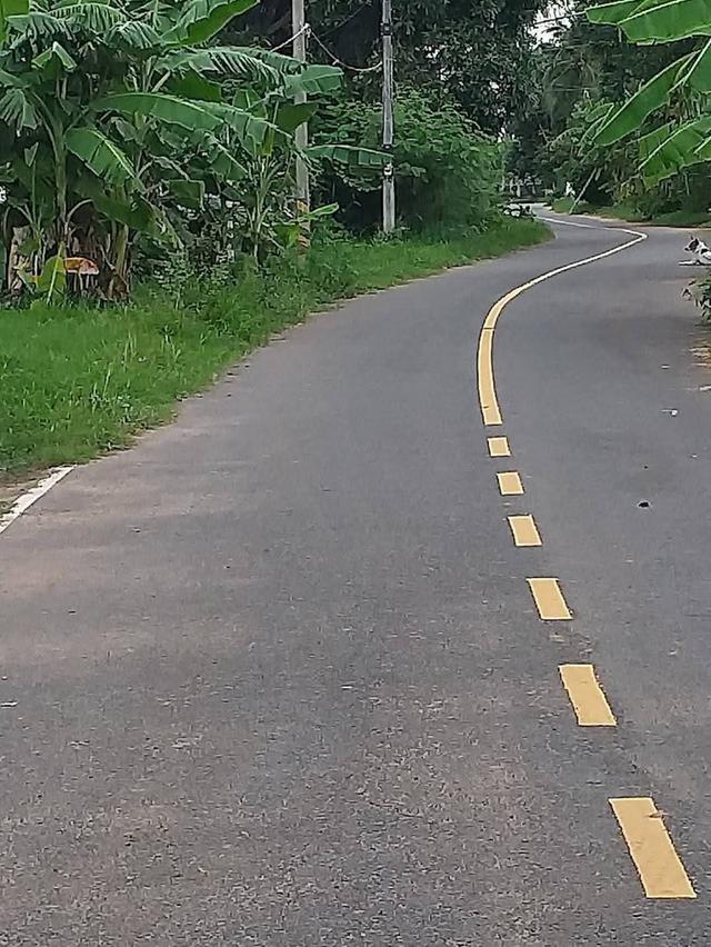 ขายบ้านสวนพร้อมที่ดินอำเภอจักราชจังหวัดนครราชสีมา บ้านหนองคล้าถนนเทศบาล20ซอย4 รูปที่ 3