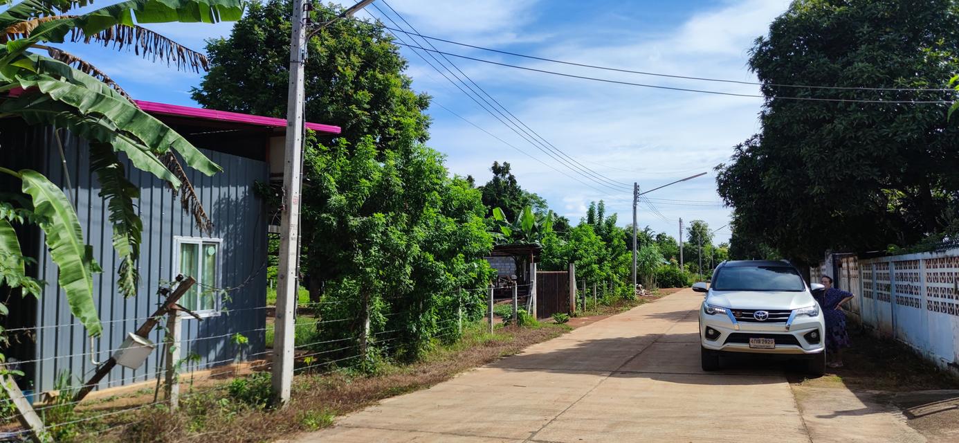 บ้านสวนและที่ดินเปล่า 17