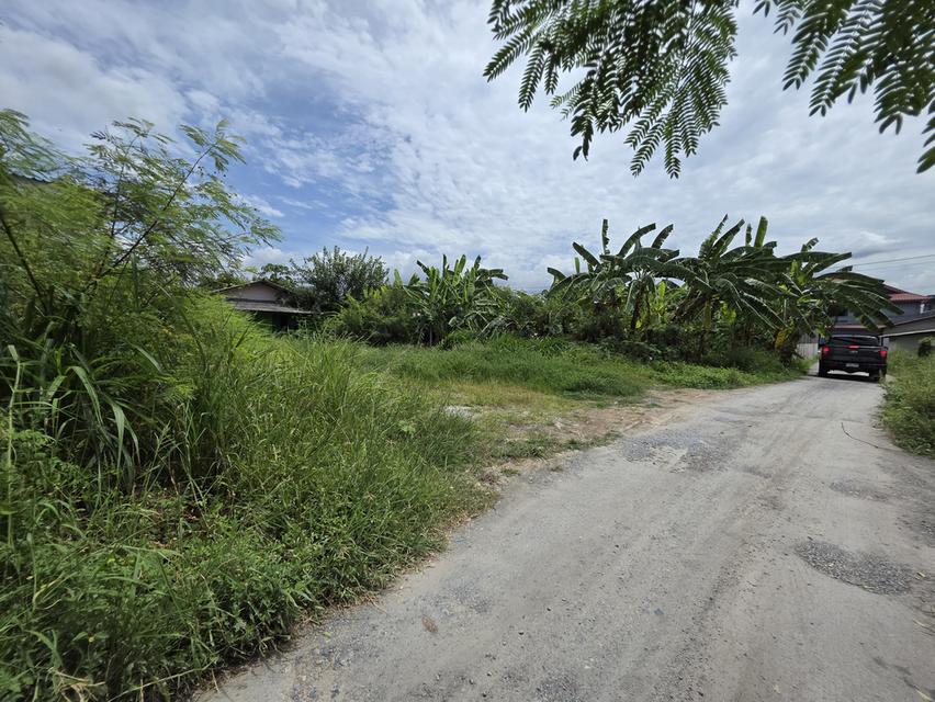 ขายที่ดิน ใกล้สนามบินดอนเมือง ซอยสรณคมน์16 1