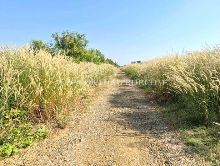 ที่ดิน ใกล้อบต.วังจุฬา วังน้อย พระนครศรีอยุธยา 2