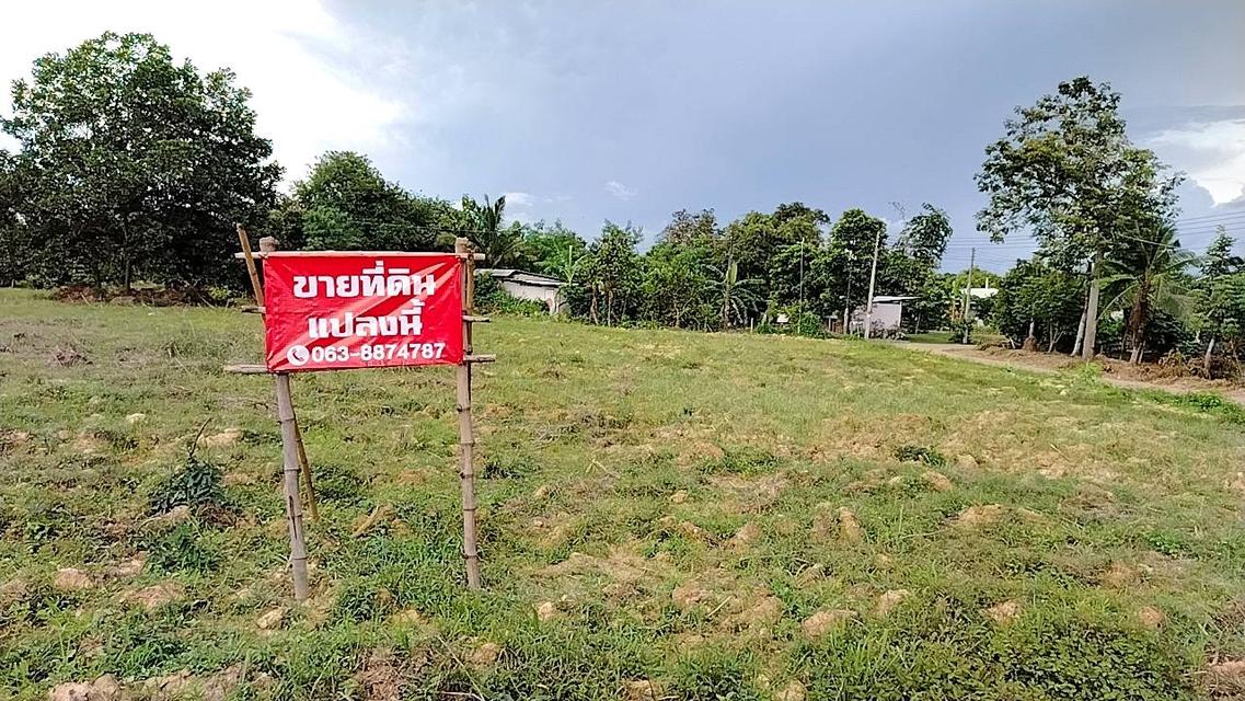 ที่ดิน 8