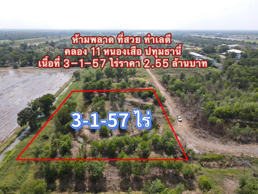ขายที่ดินนพรัตน์ 3 ไร่ คลอง11 เข้าซอยจากถนนใหญ่3022-200เมตร อ.หนองเสือ ปทุมธานี 9