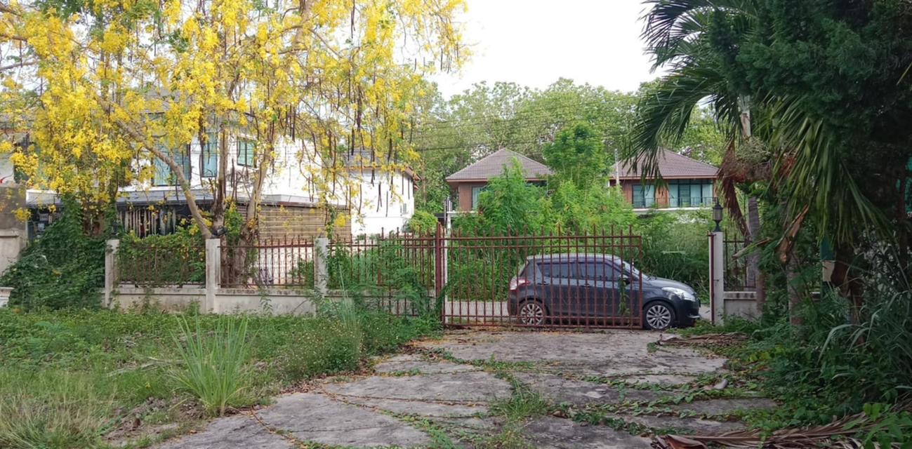 บ้านเดียว 1 ชั้น ไกล้ถนน รอบเมืองเชียงใหม่ หนองผึ้ง, สารภี , เชียงใหม่ 3