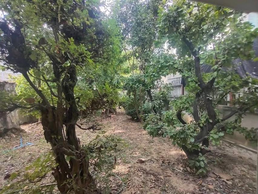 ขายบ้าน โครงการอรสิริน 3 เชียงใหม่ 5