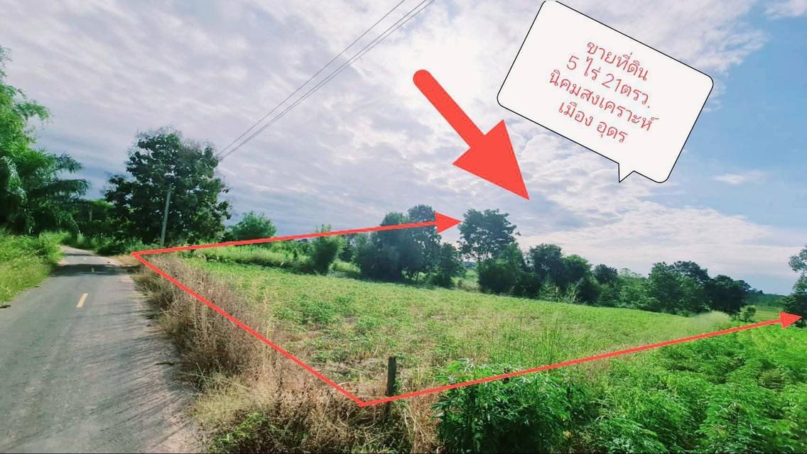 ที่ดินอุดรธานี 5 ไร่ 21 ตารางวา 3
