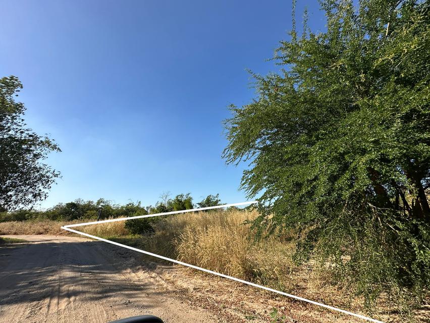 ขายที่ดินเปล่า รูปแปลงสวย เนื้อที่ 1-0-32 ไร่ ถ.ดอนนุ่น 3 ต.บึง อ.ศรีราชา จ.ชลบุรี 1