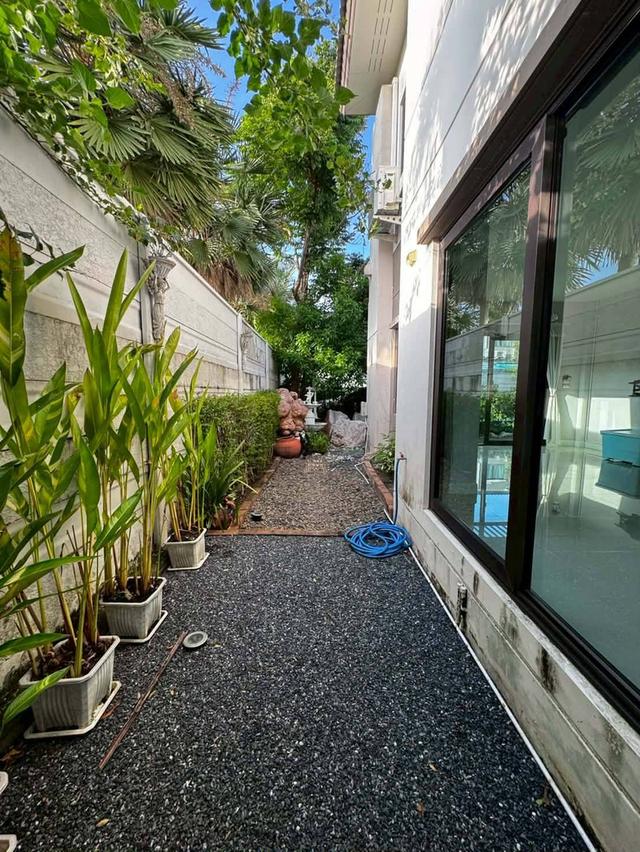 ขายด่วนบ้านเดี่ยว หมู่บ้านเซนโทรบางนา กม.7 บ้านหลังมุม ใกล้เมกะบางนา (N.2337) 16