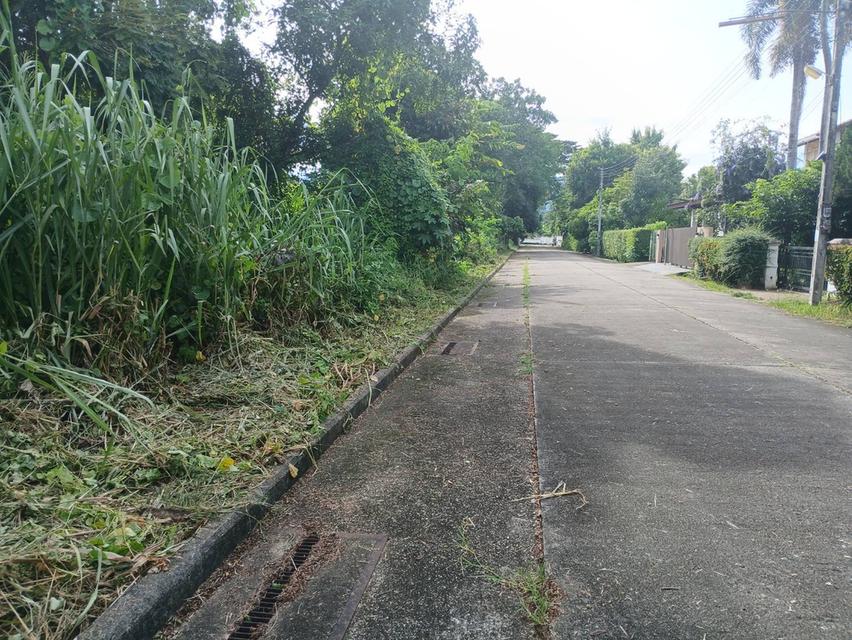 ขายที่ดินวิวสวยๆแปลงหัวมุม ถนนรอบ 4 ด้านโซนตรงกลาง ในหมู่บ้านสวนนนทรีย์แยกรวมโชค แบ่งแยกโฉนดเรียบร้อบแล้วพร้อมสร้างบ้าน 13