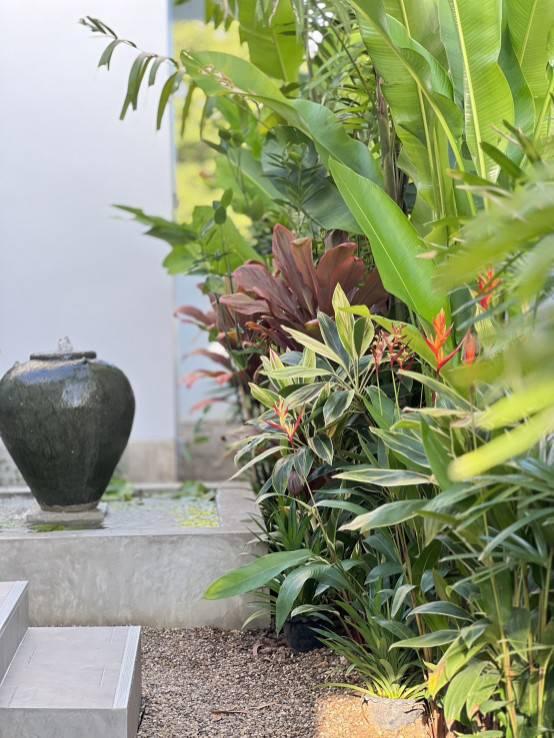 บ้านชั้นเดียวสไตล์ Contemporary Asian Tropical วิวดอยสุเทพ แม่โจ้ สันทราย เชียงใหม่ 12