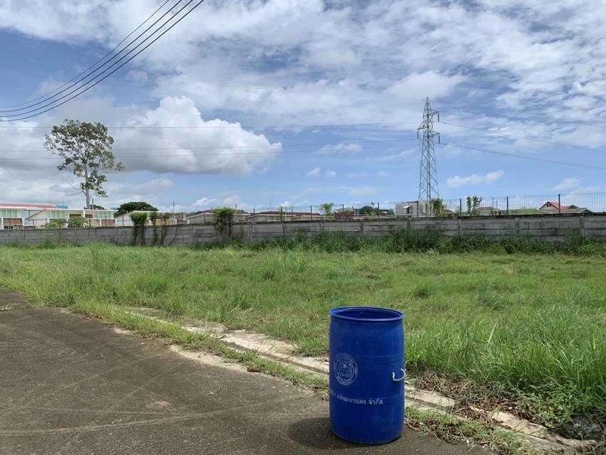 ที่ดินเปล่าแปลงมุม ตัวเมืองระยองอยู่ในหมู่บ้าน ใกล้เซนทรัลจ.ระยอง (เหมาะสำหรับสร้างที่อยู่อาศัย) 1