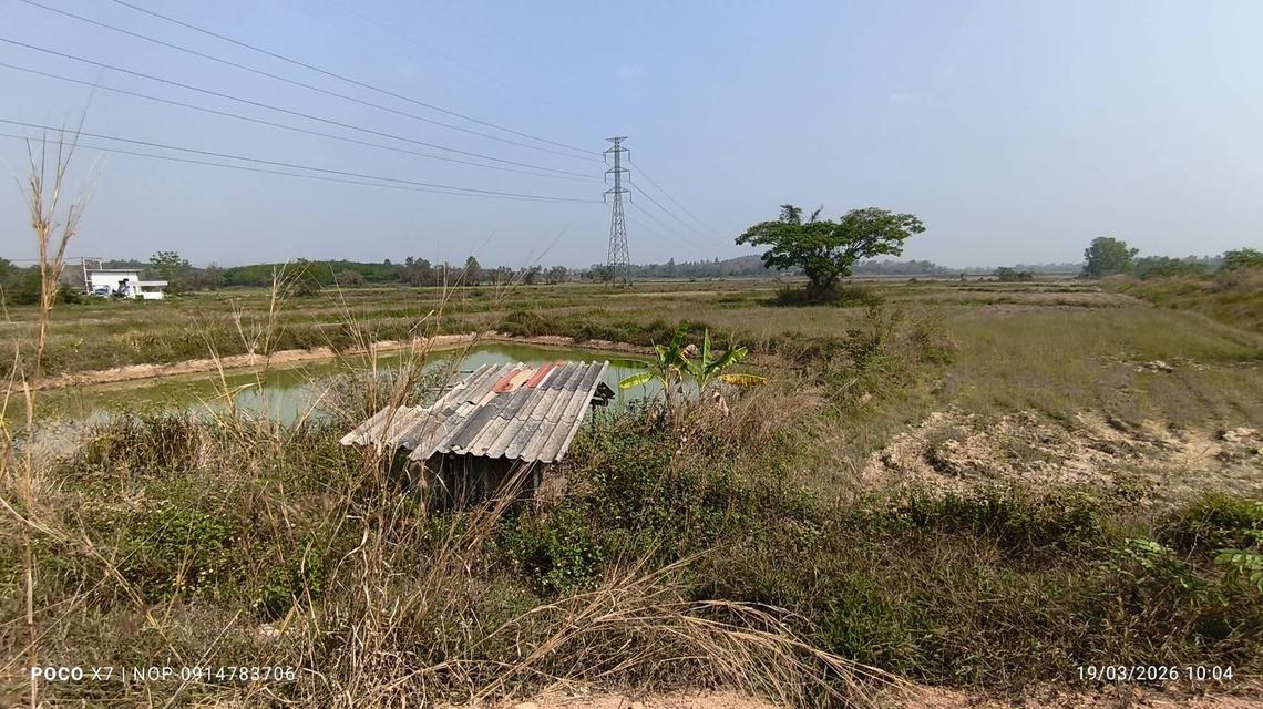 pcr2612 ขายที่ดินเป็นโฉนดครุฑแดง ไร่ละ 140,000บาท อ.พาน-เชียงราย 5