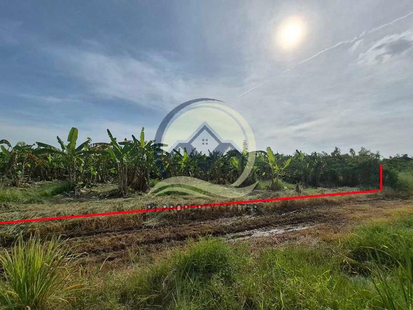 ขาย ที่ดินเปล่า 1-1-33 ไร่ ( 533 ตร.ว. ) ซ.บึงบอน 11 ถ.รังสิต-นครนายก  จ.ปทุมธานี  9