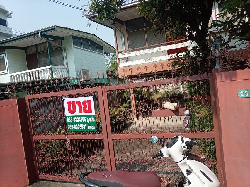 บ้านเสรี1หลังเดอะไนท์ 1