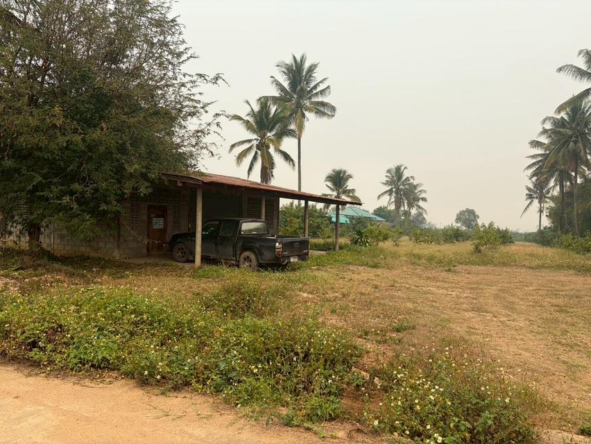 ขายที่ดิน (พร้อมโกดังเก็บของ) รวมเนื้อที่ 2 ไร่ 3งาน  97.3 ตารางวา 6