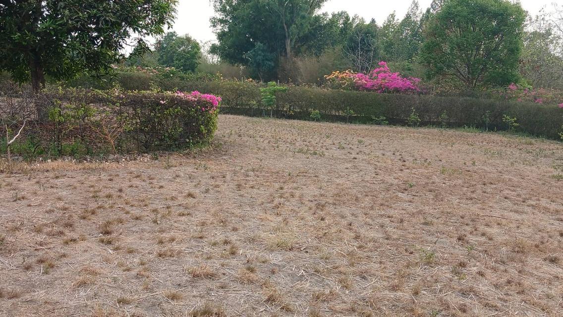 ที่ดิน จังหวัดเชียงใหม่ อำเภอแม่ออน 3