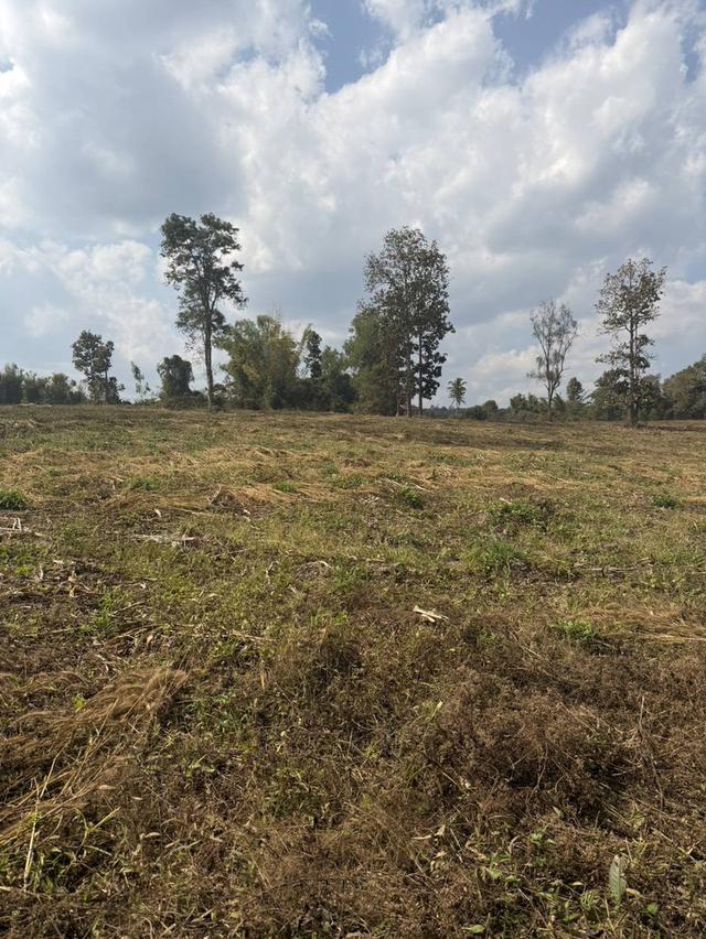 ที่ดินแปลงใหญ่ ติดถนนหลวง 118 เชียงใหม่–เชียงราย (แม่ขะจาน) 32 ไร่ 1 งาน 92 ตร.วา 3