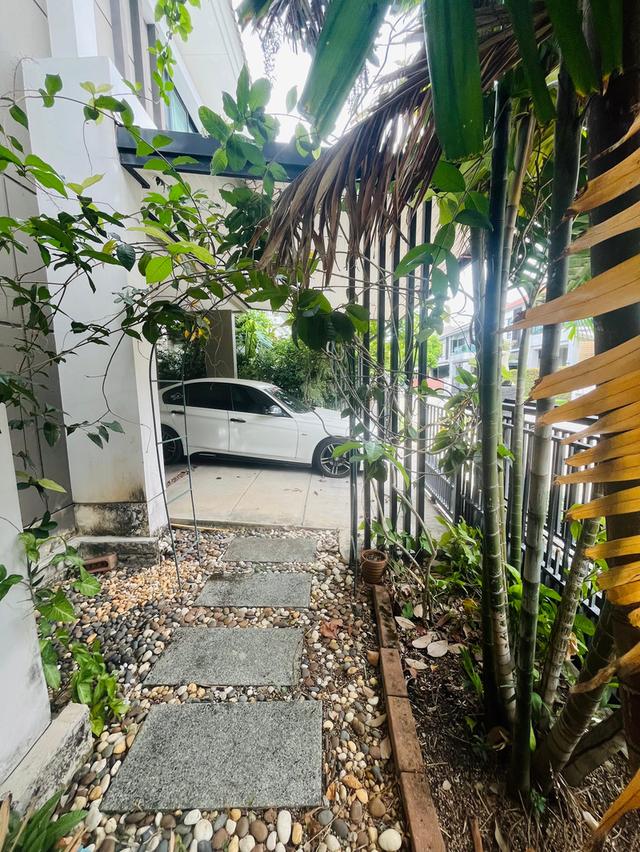 บ้านเดี่ยวพร้อมที่ดิน 12